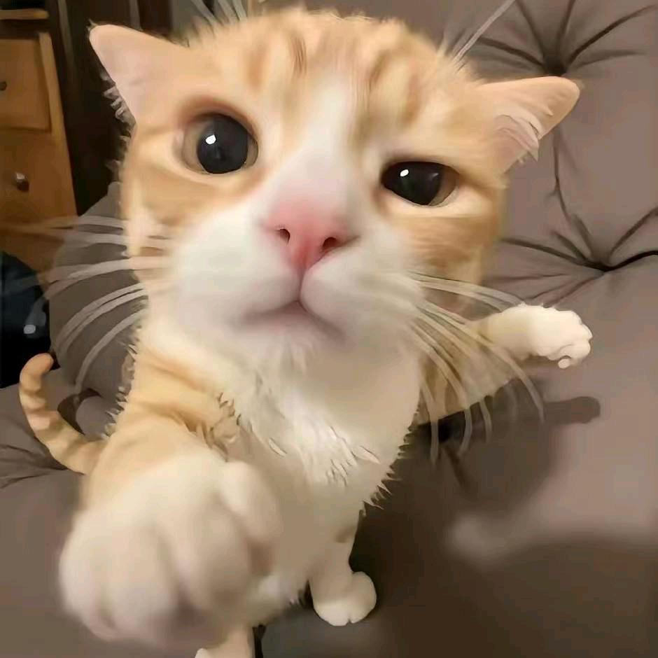 AAA