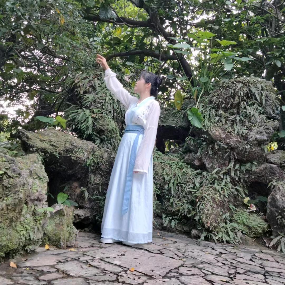 抚弦思华年