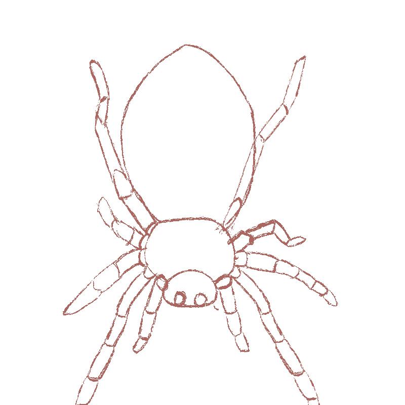 恶女就是恶女呀