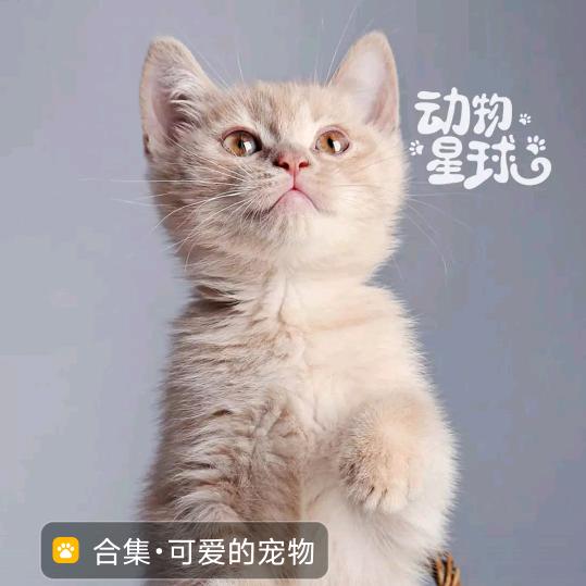 9.41 wfo:/ 复制打开抖音，看看