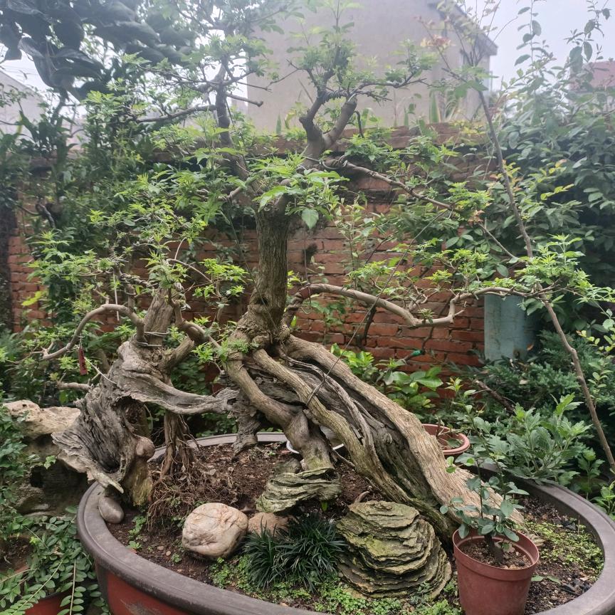 万家灯火
