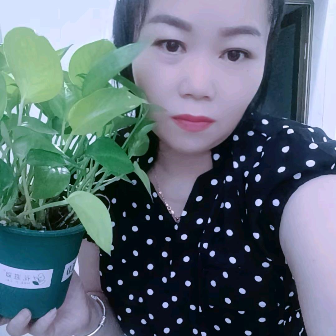 风中的云