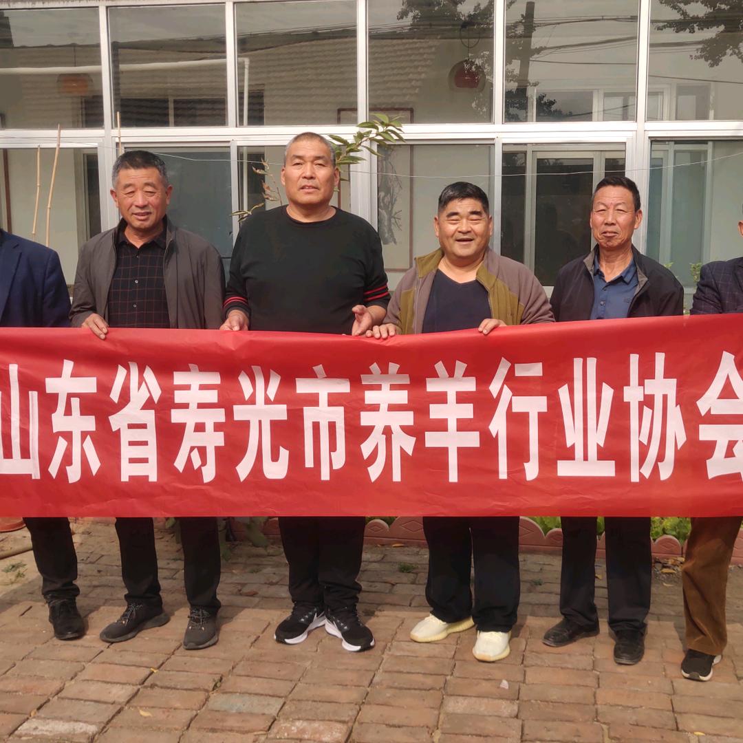 农场养羊人(寿光祖振友奶山羊)