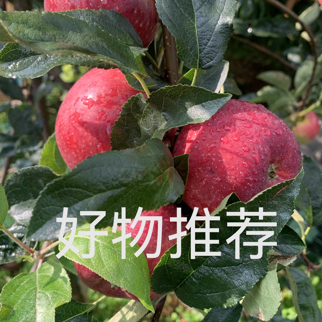 曲靖沾益牧佳农庄