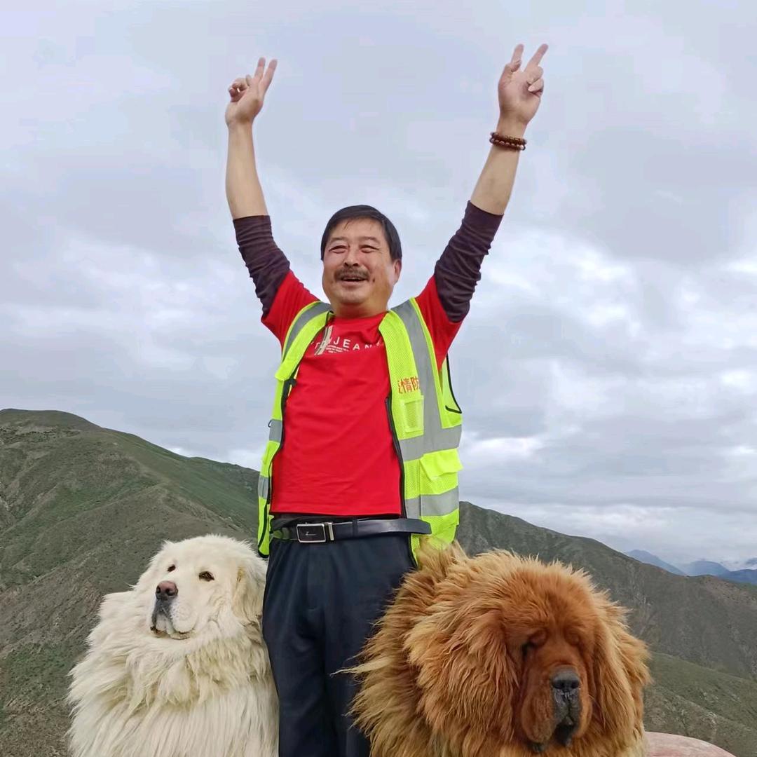 诗，和远方