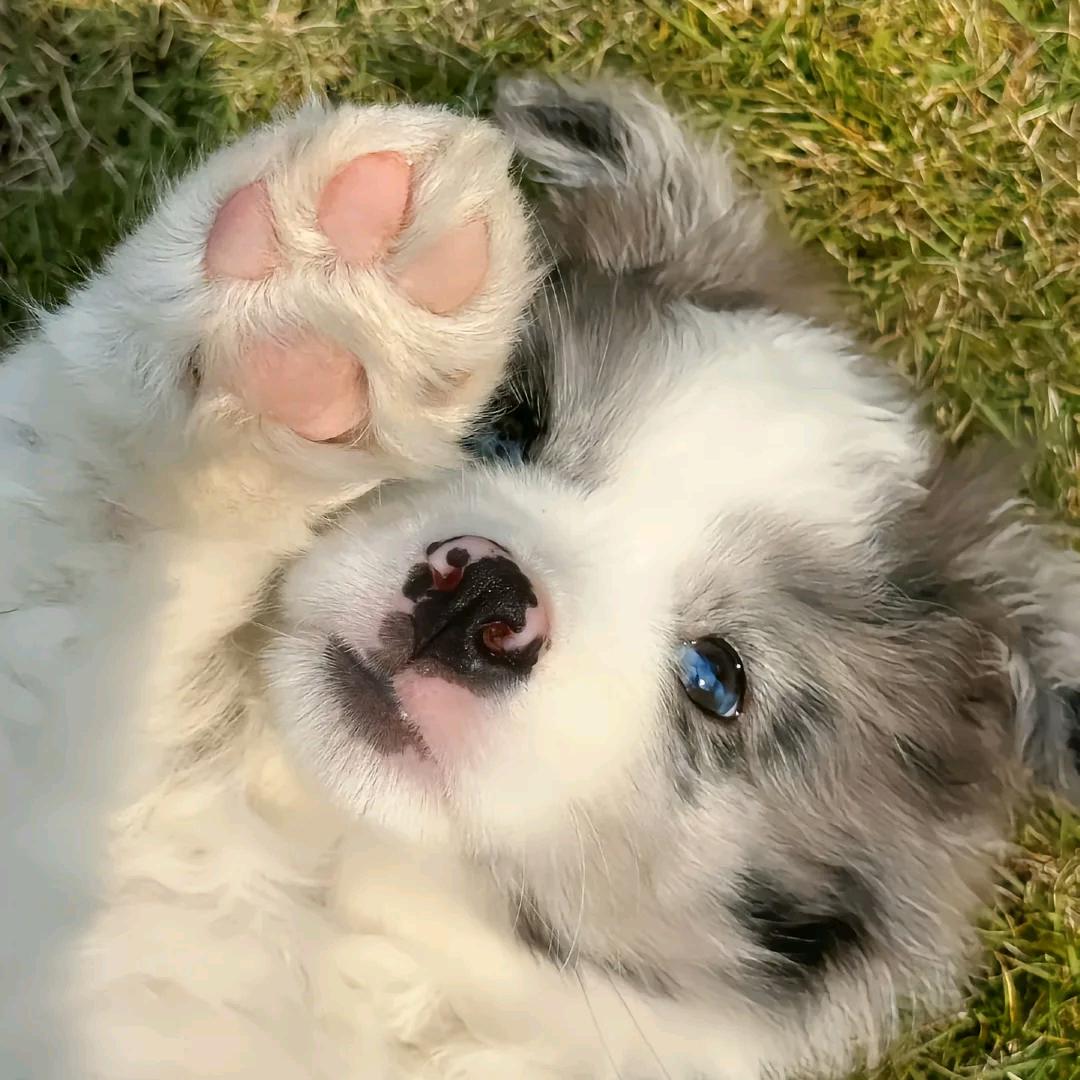 🍊🍊🍊🍊🍊🍊