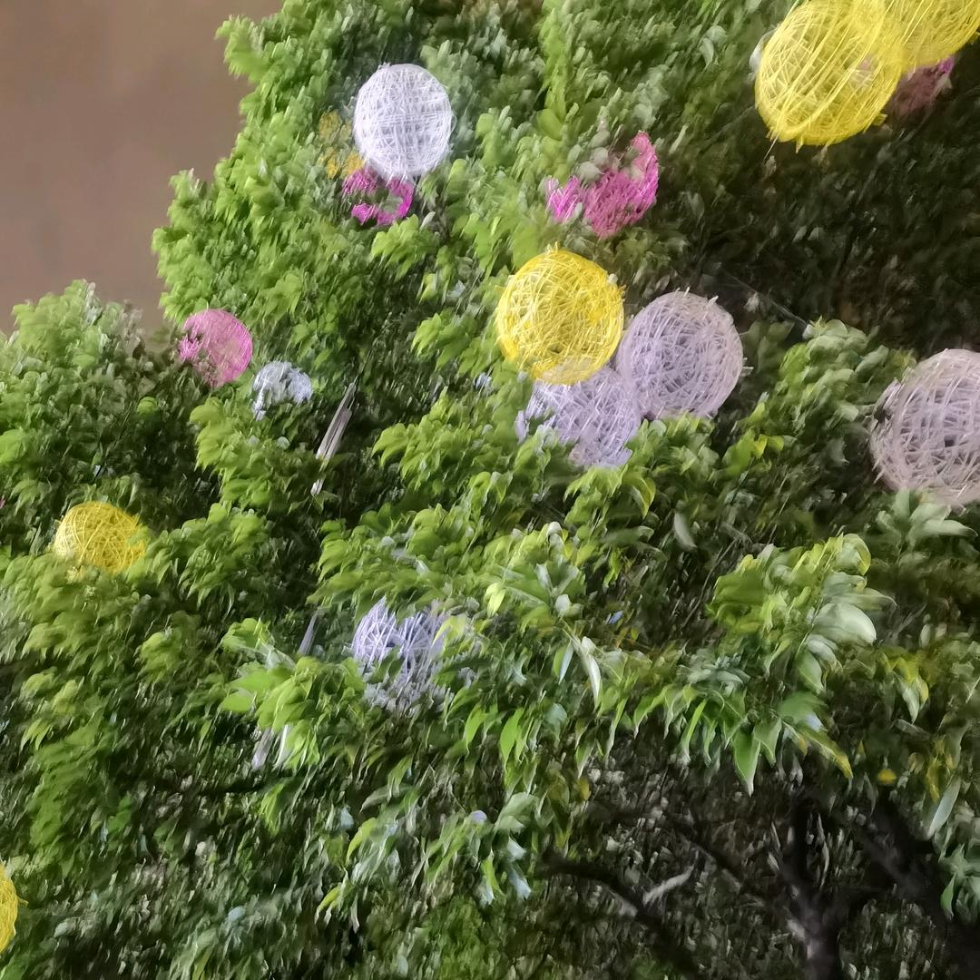 m缈缈