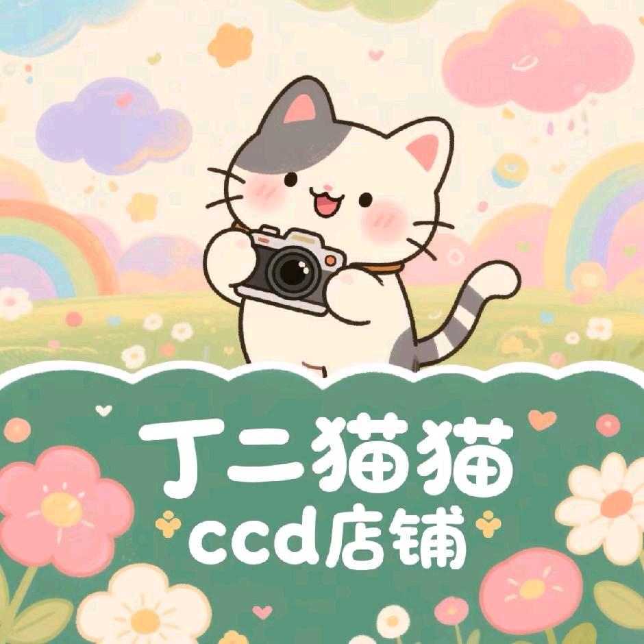 丁二猫CCD相机📷（客服）