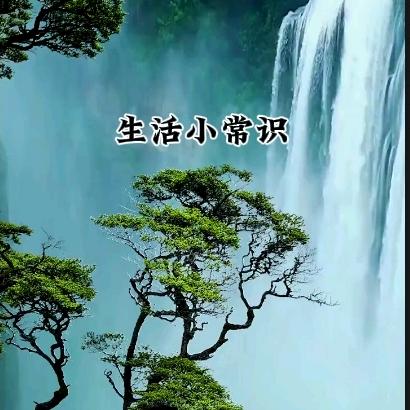 王哥小生活