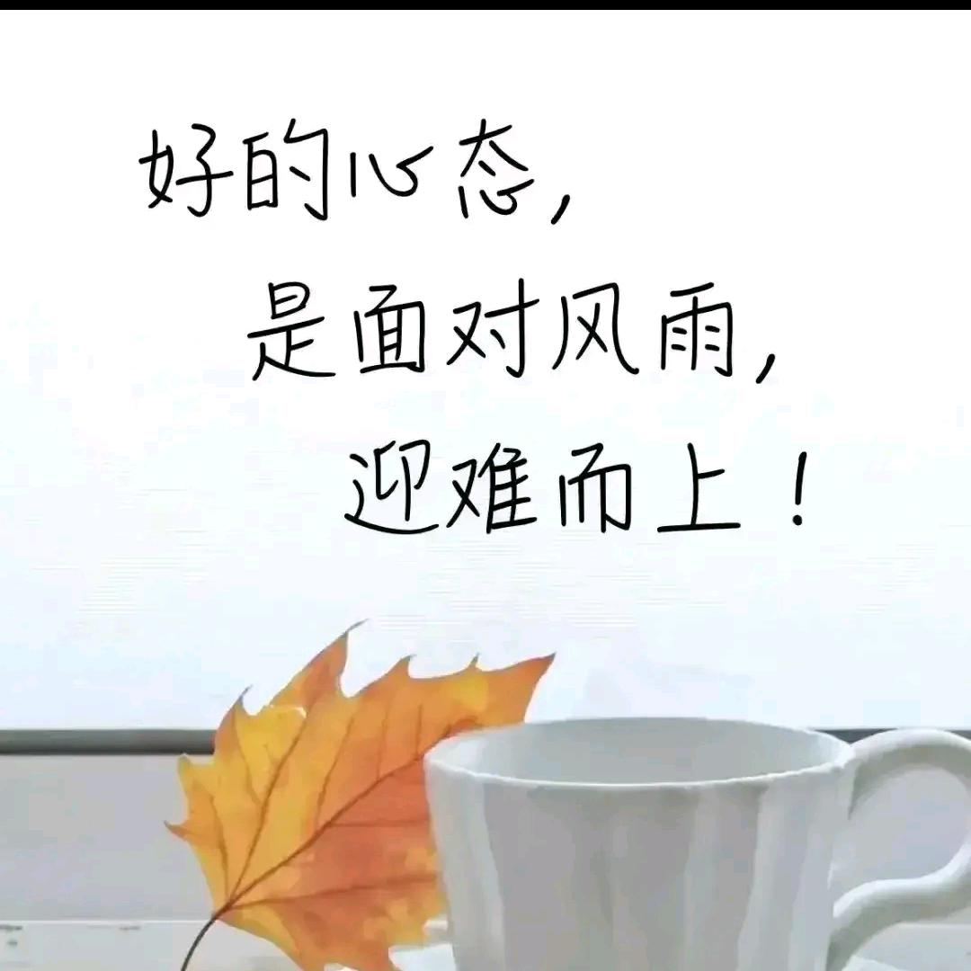 庄宝
