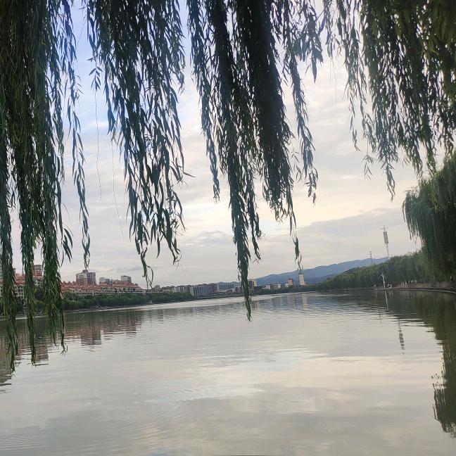 丽丽