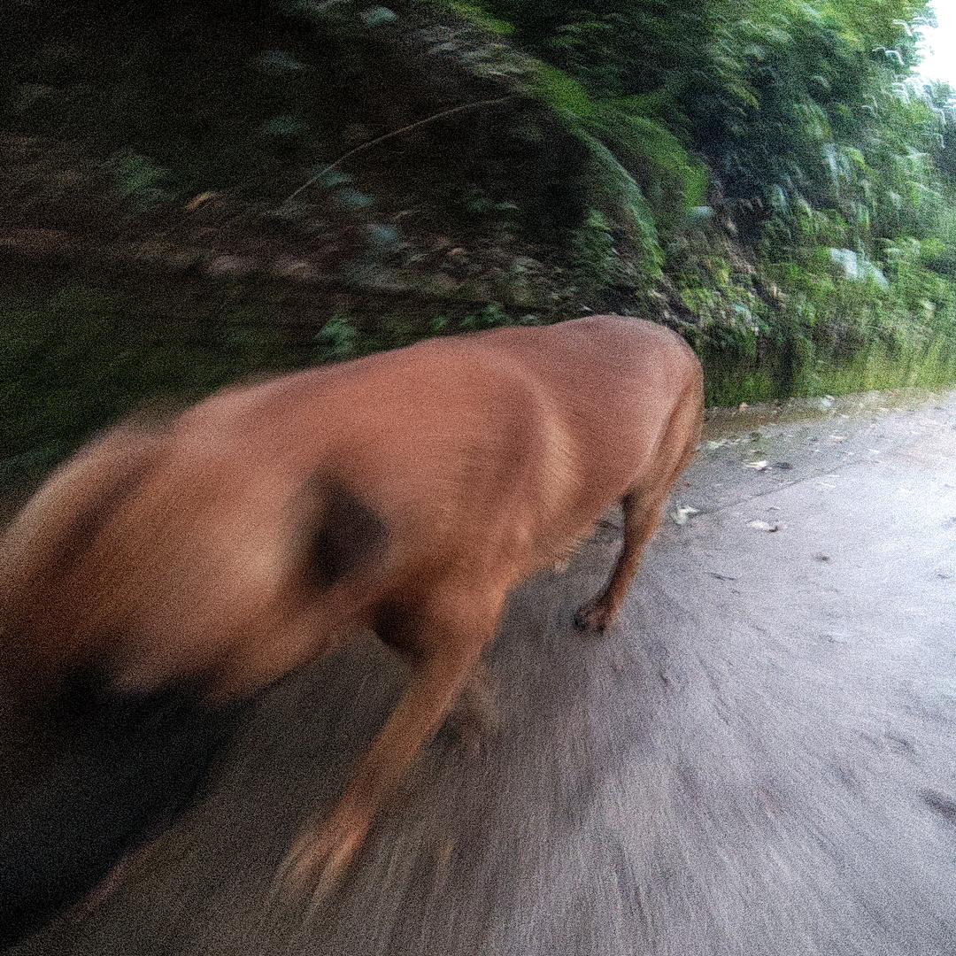 小优