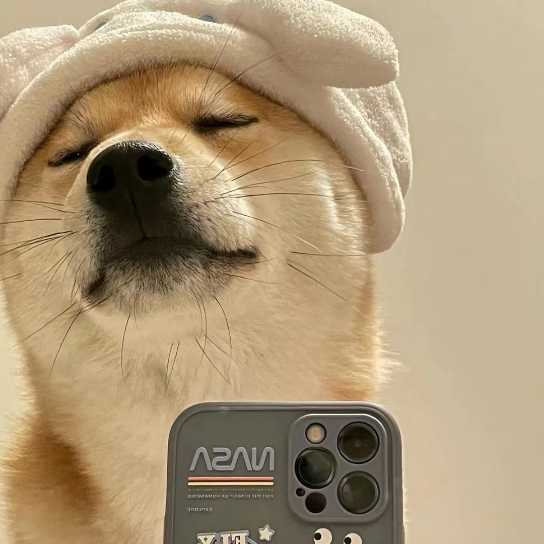 ￴ ￴￴ ￴￴ ￴￴ ￴￴