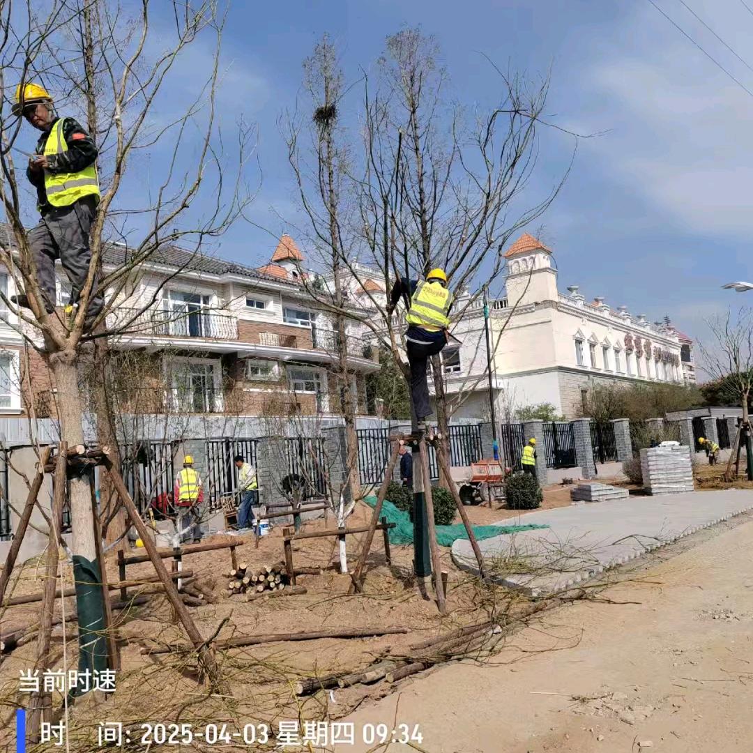 北京红芳园林绿化公司