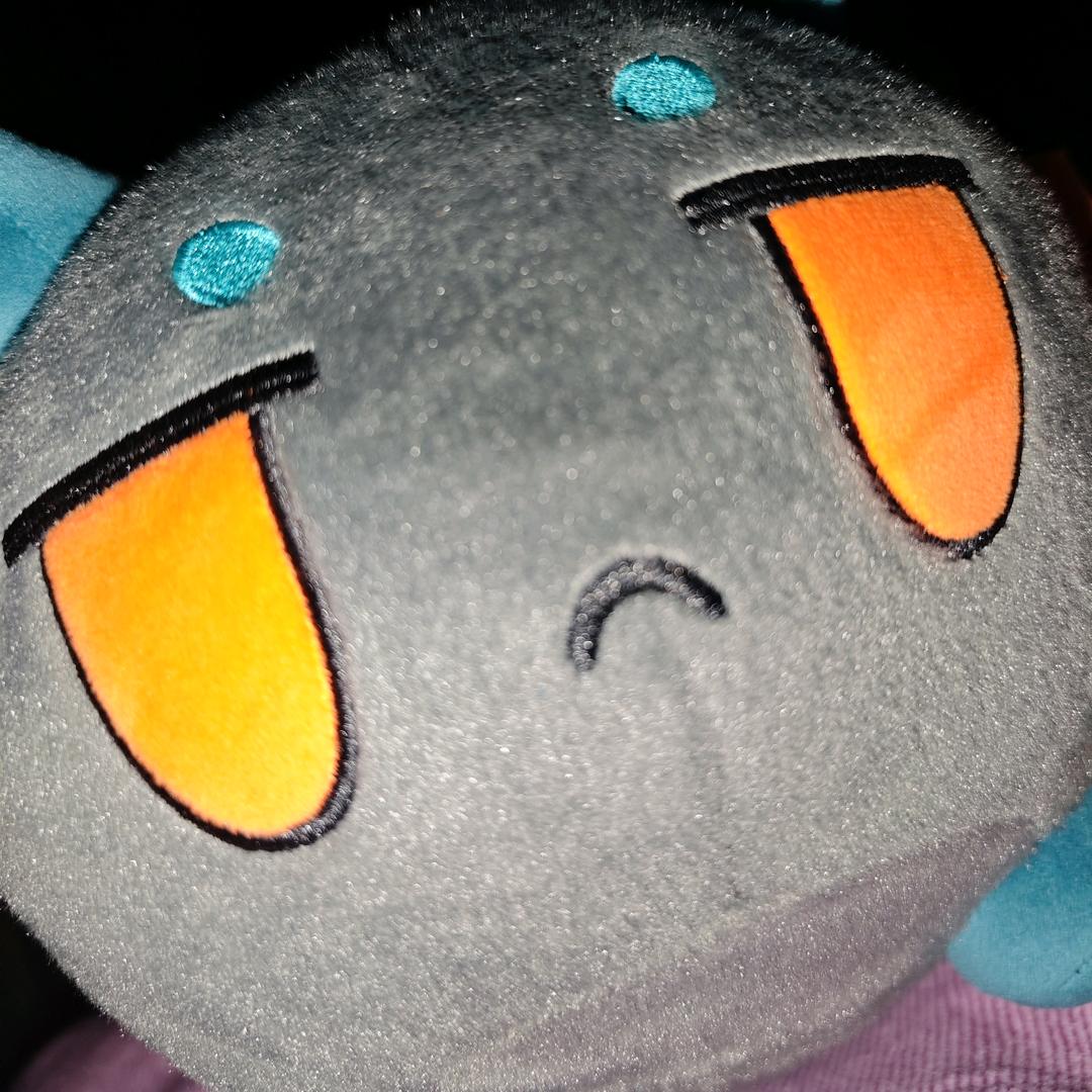 我是一只夕瓜夕瓜