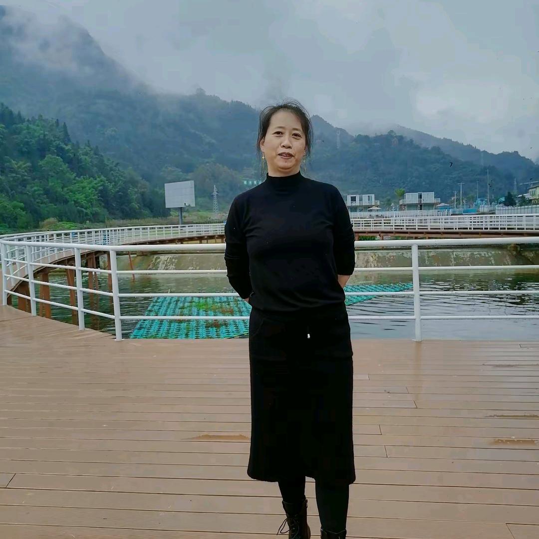 高姐姐