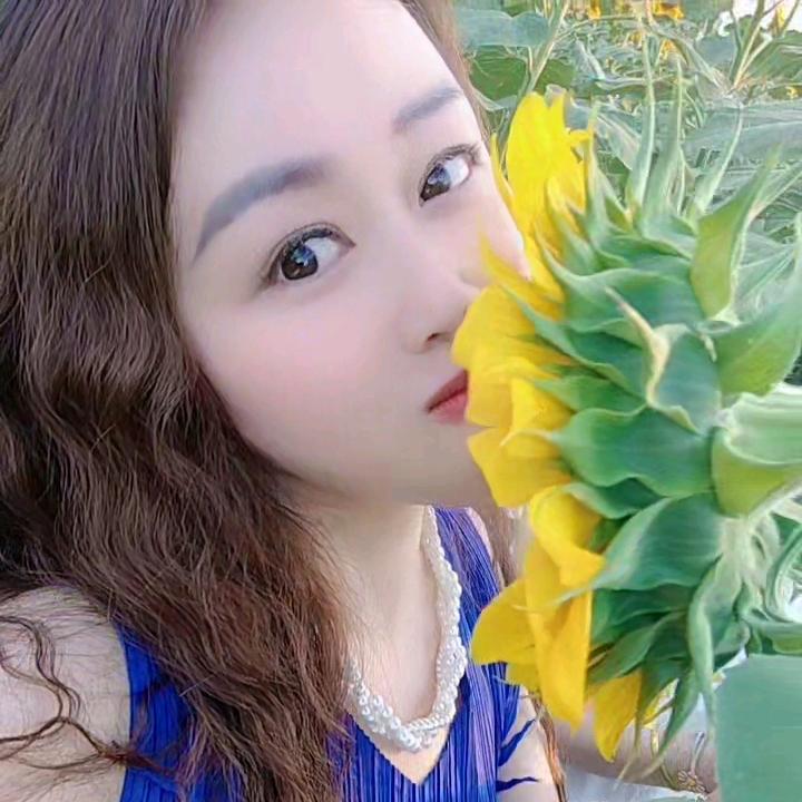 黄玫瑰🌹