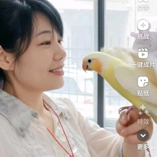 润莲