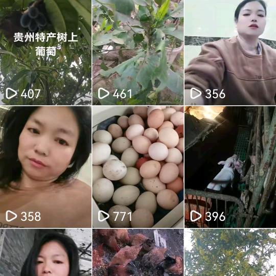 曾姐