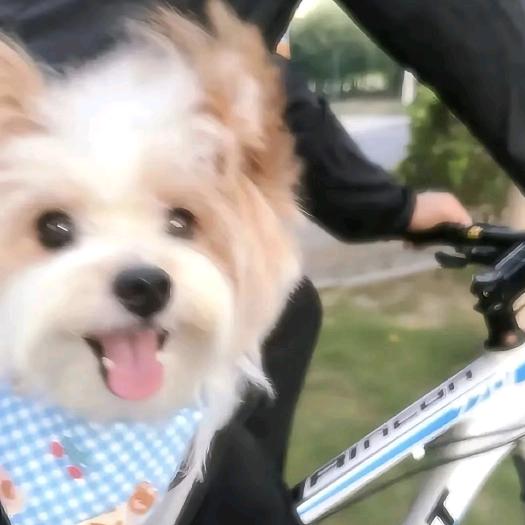 把爱留给开张人