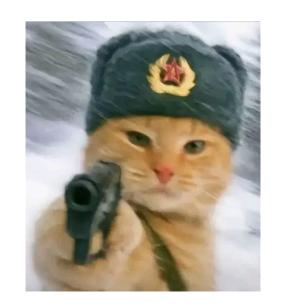 丁星疾(三角洲行动)