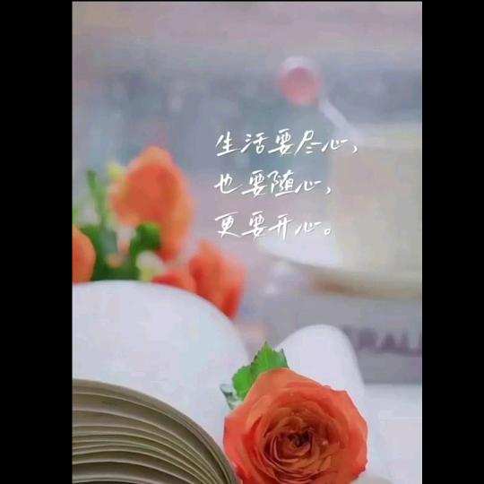 🍀ღ᭄💞一切꧔ꦿ᭄ 随缘ღ᭄ 💕