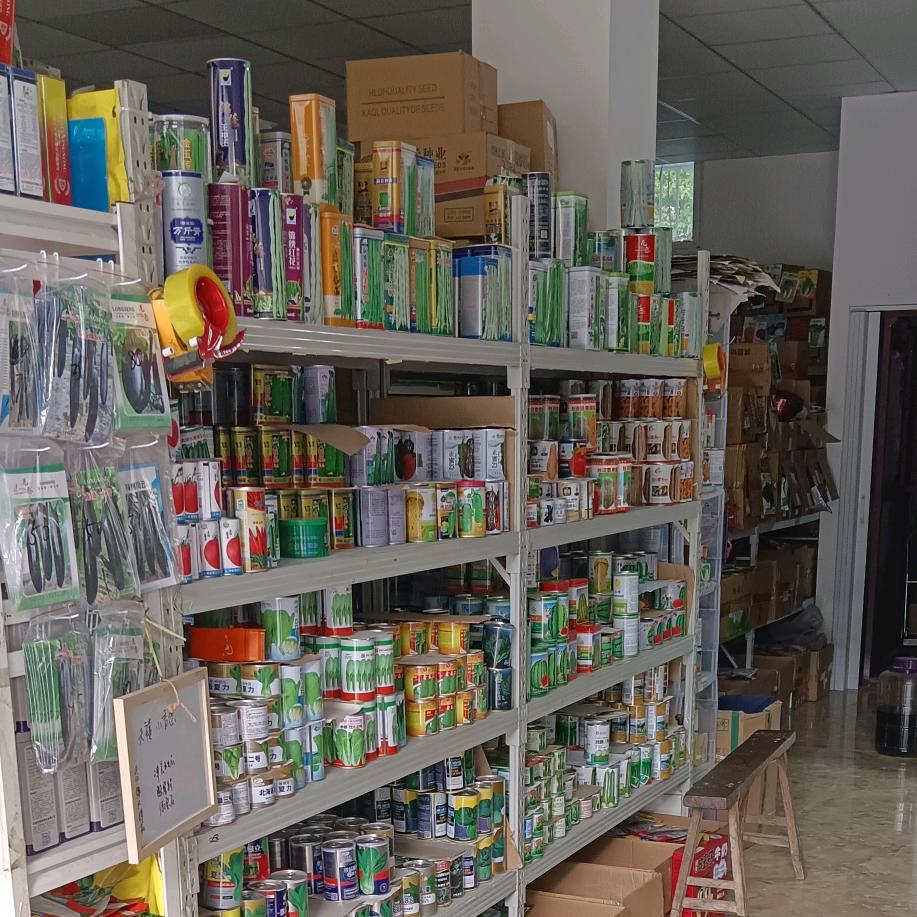 宋先生蔬菜种子