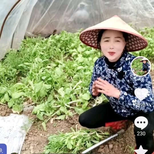 我是乡下人