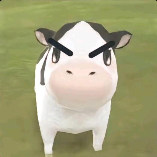懒仔日记🪩