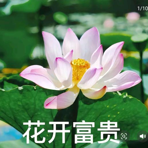 平安一生🥰😊