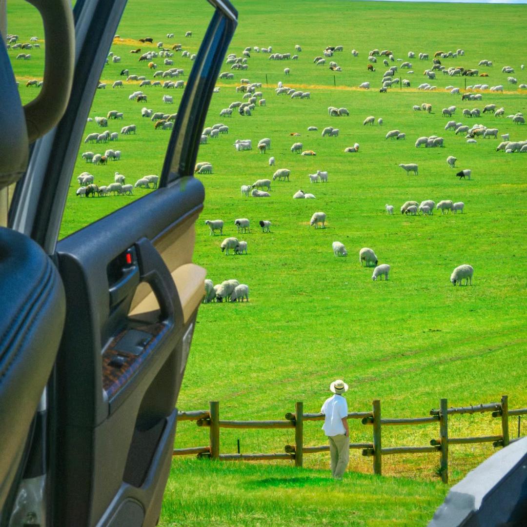 耳根子👂🏻软