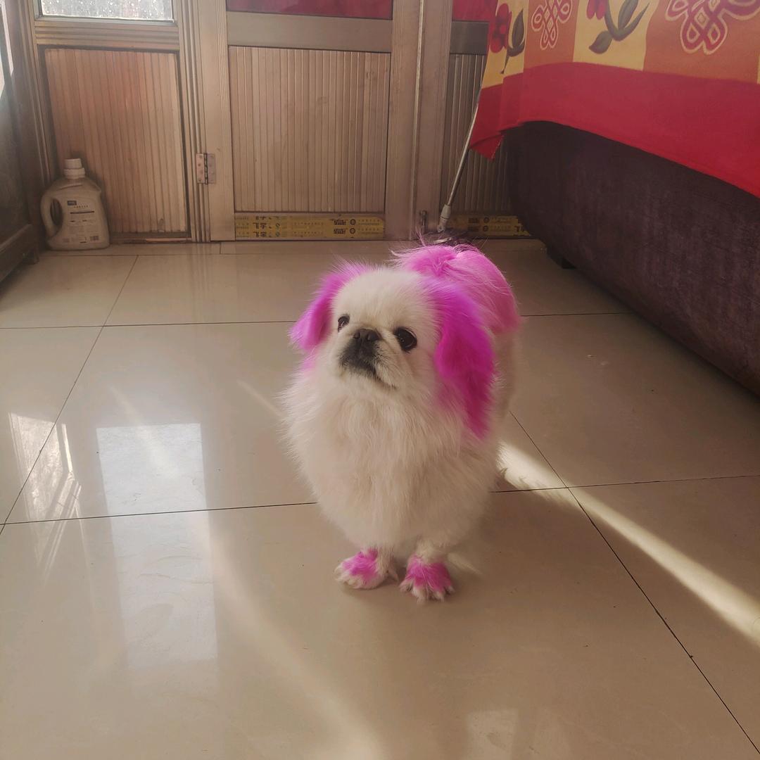 ꧔ꦿ℘浅色💞᭄᪲ᩚ꯭ᩚ夏沫꧔ꦿ᭄