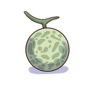 蜜瓜