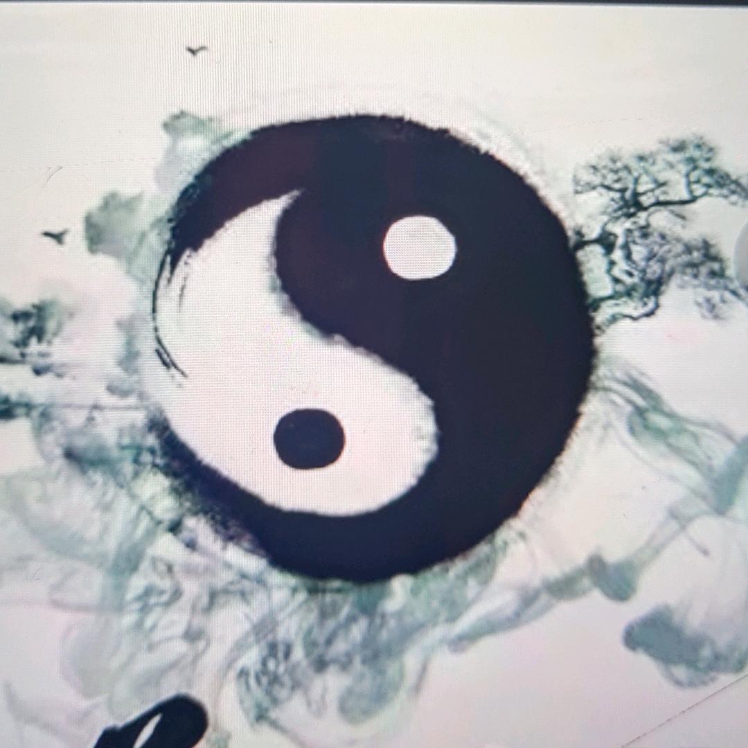 仆❤️褂