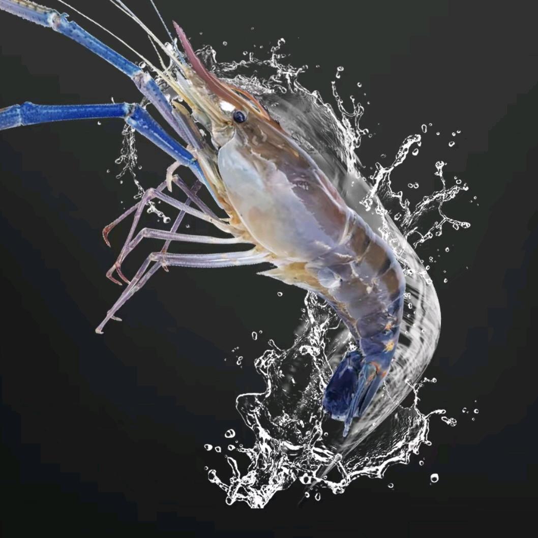 渔礼记网红罗氏虾（大学生创业版）