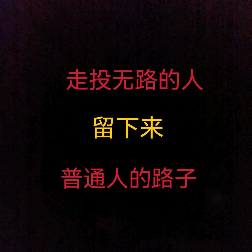风哥（2）