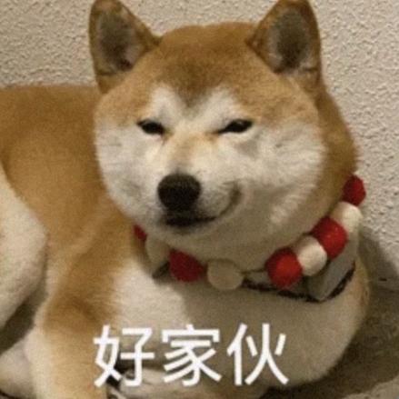 数一数二工作室