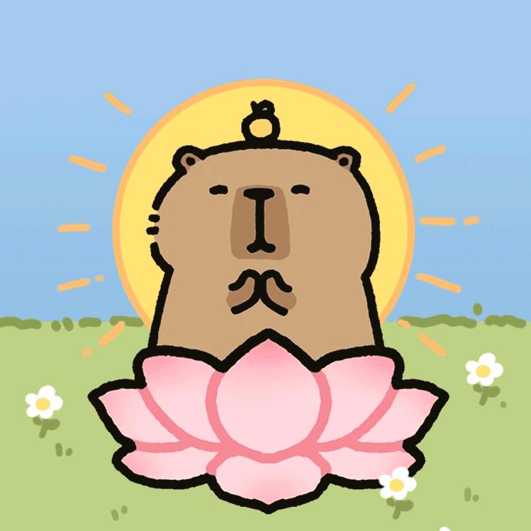 云鲤头像