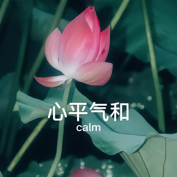 心如止水