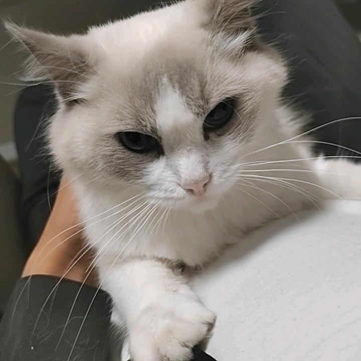 宗介丶