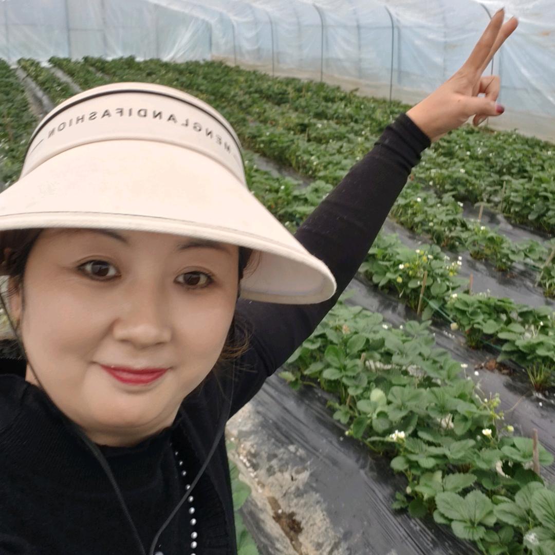 阿莲草莓园🍓🍓