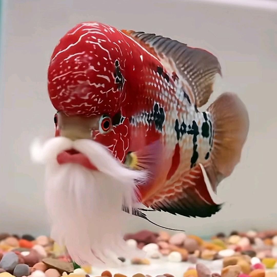 F:福💎福💎福💫