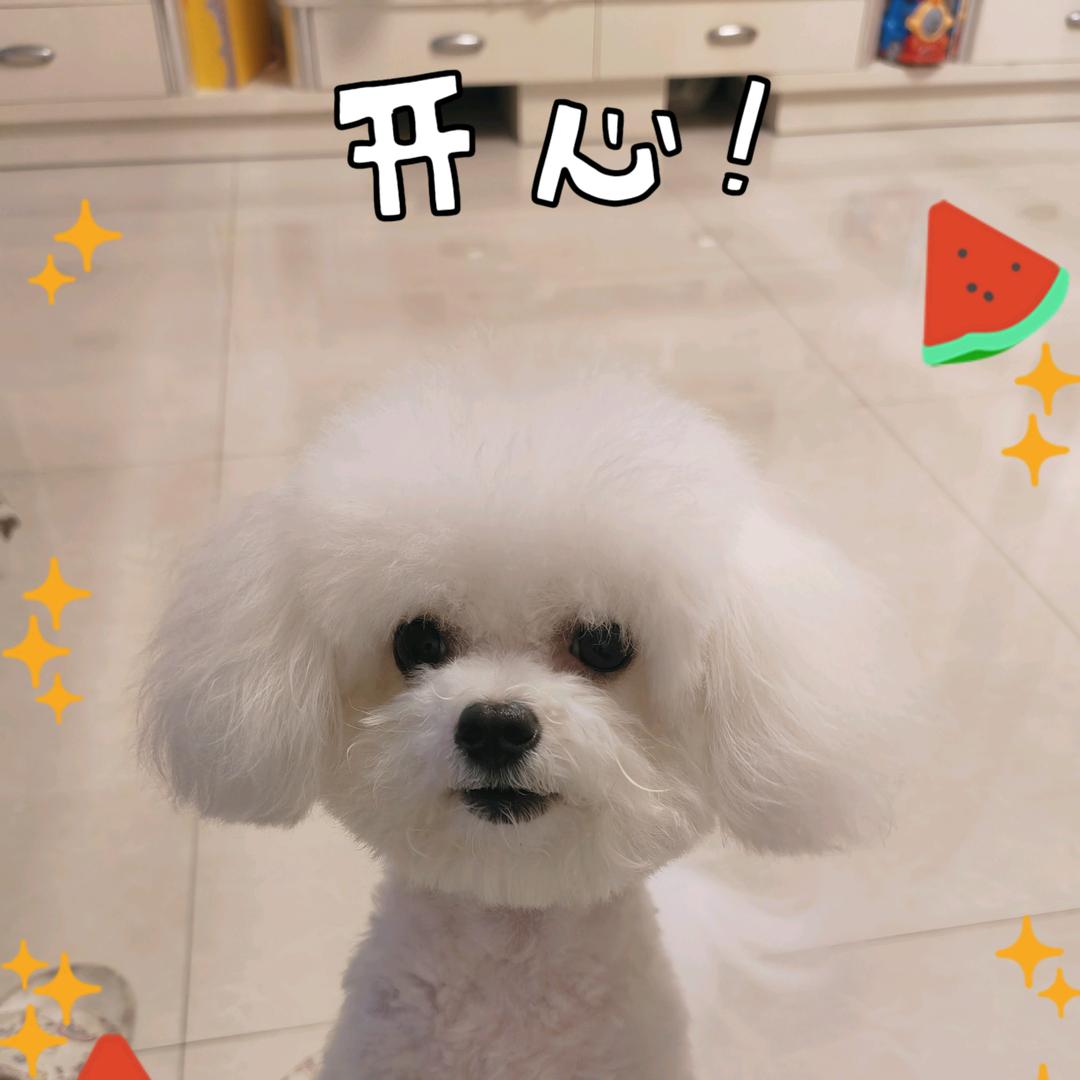 ℡郭小仙