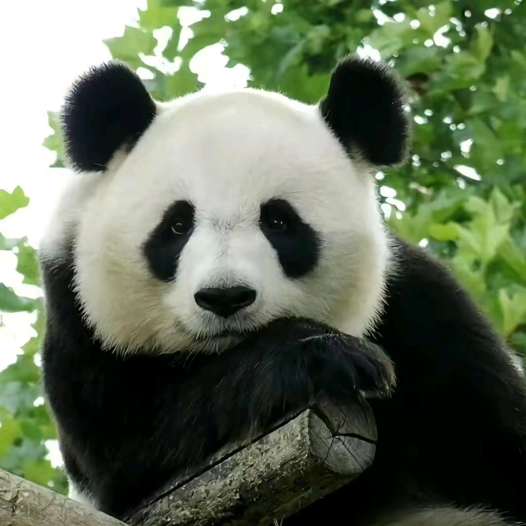 王富贵👴🏻