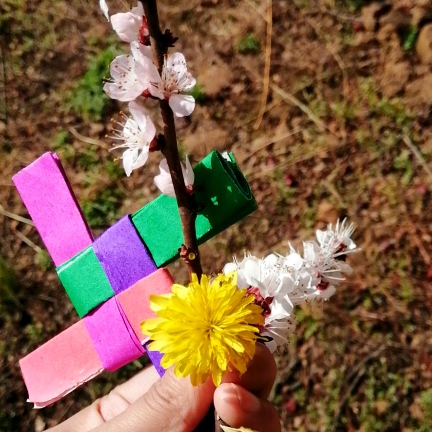 拖拖的塔罗小秘密