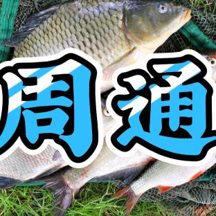 周通 渔具