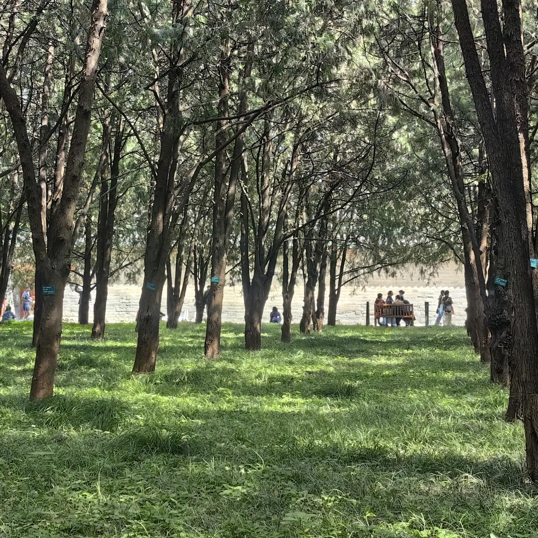 图书策划西离