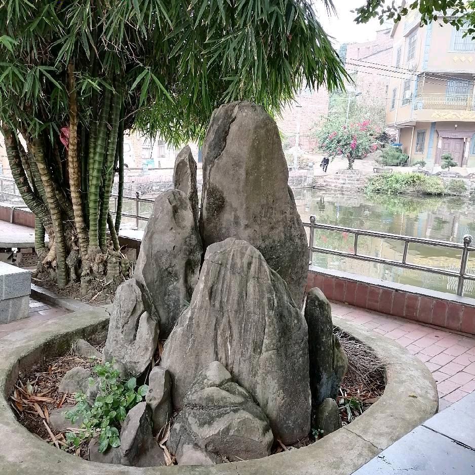 友缘来聚聚