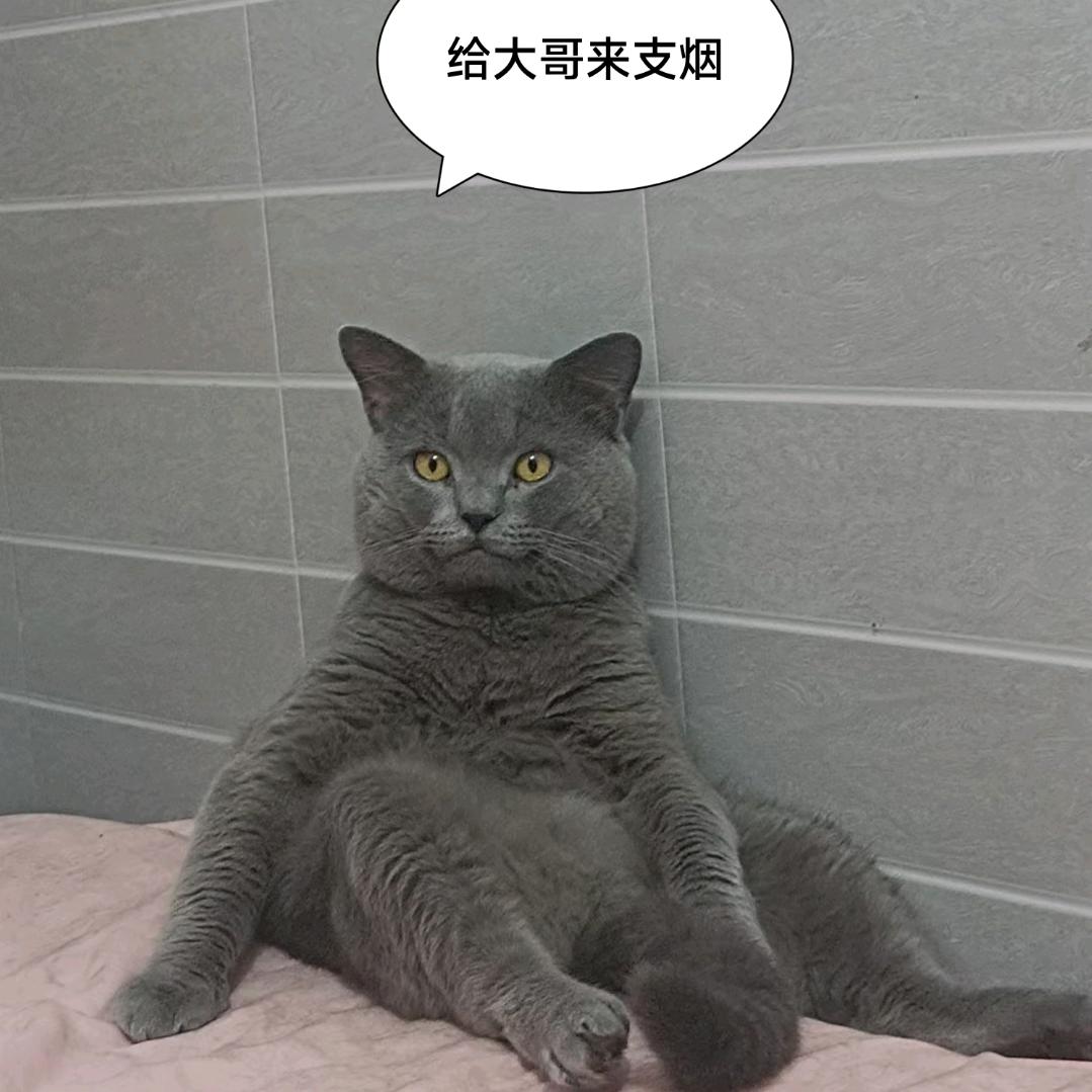 吴招财