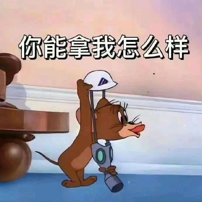 追逐风的方向